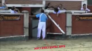 Два случая с быком самоубийцей на испанской корриде.