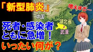 「新型肺炎」死者・感染者ともに急増！いったい何が？
