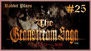 The Granstream Saga Playthrough Part 25 ~ “The Gate of Trials”