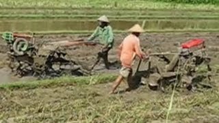 Yanmar Hand Rotary Tractor VS Hand Plow Tractor