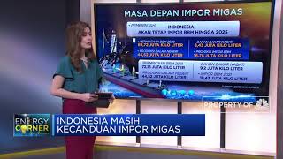 Parah! RI Kecanduan Impor BBM hingga LPG