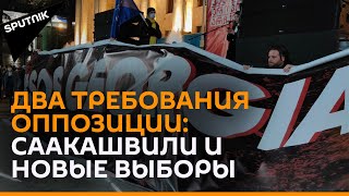 Движение "Стыдно" в поддержку Саакашвили провело акцию у парламента