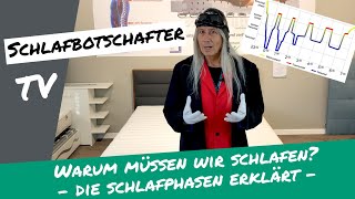 Schlafphasen erklärt - Warum müssen wir eigentlich schlafen. Basiswissen Schlaf #1