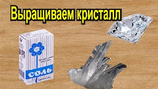 Как вырастить кристалл.