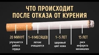 Если Резко Бросить Курить, то... (Из чего сделаны сигареты и ПОТЕНЦИальная ПОЛЬЗА! )