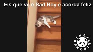 Eis que você é Sad Boy e acorda feliz ( Meme do Gato Sad Boy )