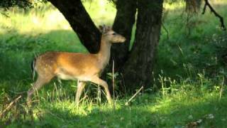 Find Tranquillity : Dan Phillipson