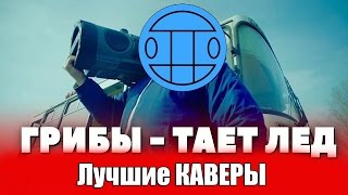 Топ 5 лучших КАВЕРОВ - Грибы - Тает Лёд.