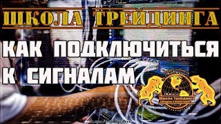 Школа Трейдинга - Как подключиться к сигналам.