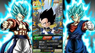 ?? 5 JAHRE DOKKAN - MEHR AWAKENINGS & SHIT (Deutsch) (DBZ: Dokkan Battle)