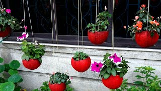 How to make beautiful HANGING PLANTER out of COCONUT  SHELL...11.1.2019