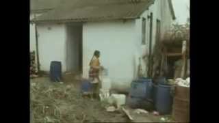 The Life and Death of Steve Biko (1977) Part 1