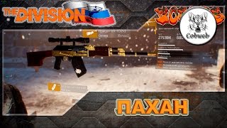The Division l Пулемет для новичка l ПАХАН l