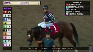 Horse Racing Partnership - BUSY PAYNTER wins @ Santa Anita 10/31/19 in race #9.
