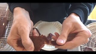 How to Make Whole-Muscle Deer Jerky (Dehydrator)
