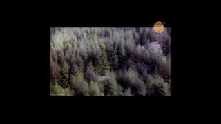 Фантастические истории. Жизнь после смерти