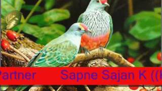 sapne sajan ke(( kumar sanu & alka yagnik))
