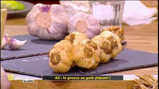 Produit du jour : l'ail - La Quotidienne la suite