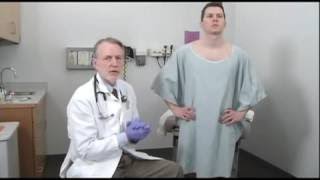 Bates Guide To Physical Examination And History Taking - Masculine Genitalia, Rectum And H