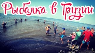 Как в Грузии ловят рыбу. Рыбалка волокушей. Кефаль.