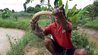 mancing belut besar di kalimantan timur