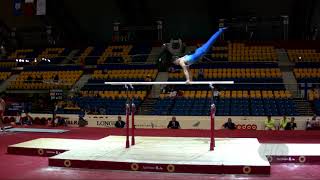 SRBIC Tin (CRO) - 2018 Artistic Worlds, Doha (QAT) - Qualifications Parallel Bars