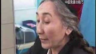 中国の嘘　「テロリスト」と呼ばれたウイグル女性