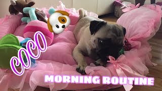 Morning Routine | COCO