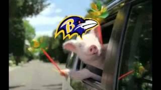 Ravens Piggy