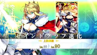 [Fate/Grand Order] Artoria Lancer's Voice Lines (with English Subs)