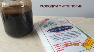 Как разводить Фитоспорин пасту.