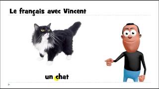 французские первые фразы  # un chat