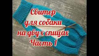 Свитер для собаки на двух спицах, часть 1