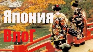 vlog japan влог япония самостоятельное путешествие по Японии аренда квартир