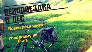 ?Велопоездка в лес покатушки до темна.