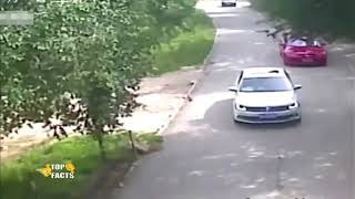 ЖЕСТЬ! ЖУТКИЕ КАДРЫ НАПАДЕНИЙ ЖИВОТНЫХ СНЯТЫХ НА КАМЕРЕ