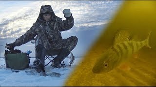 РАЗДАЧА ОКУНЯ!!! Ловля на Блесну! Рыбалка в Лаврово на Ладожском  озере
