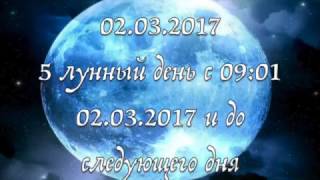 ЛУННЫЕ СУТКИ 2 МАРТА/ПРОГНОЗ НА ДЕНЬ/ШКОЛА ТАРО GOLDEN CHARM