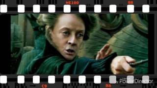 Harry Potter Character Theme Songs