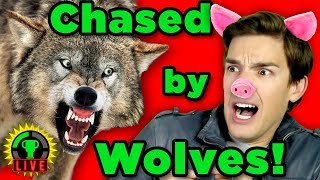 I Will Find You!! | Parent Trap (Indie Co-Op Game)