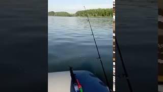 Река Обь. Дубровино 2017