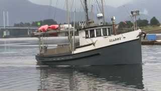 Line-caught salmon from Seafood Producers Cooperative