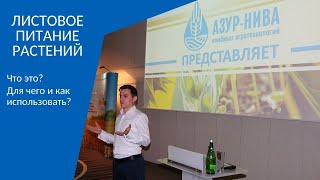 Что такое листовое питание для растений? Рассказывает Евич Денис Владимирович