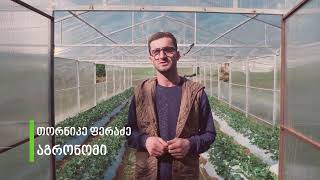 მარწყვის სათბურები - ზედა საქარა, ზესტაფონი.