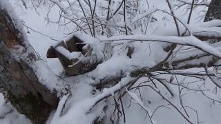 Проверка капканов на самодельном вездеходе.