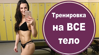 Домашний фитнес Круговая тренировка на все тело Светлана Савичева