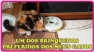 Um dos brinquedos preferidos dos meus gatos. Cat ball ou Kitty ball - Gatil Hauser