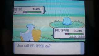 Pokemon Diamond Shiny Ditto at Chain 3