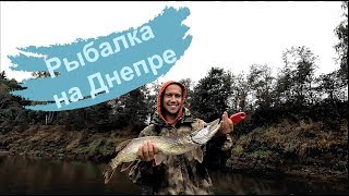 Друг обновил личный рекорд по щуке. Ловля ЩУКИ на джиг на Днепре
