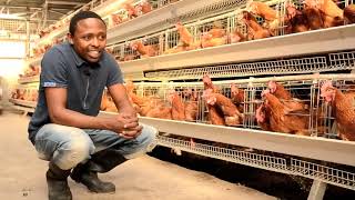 Poultry Farming in Africa